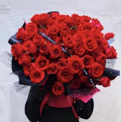 【励志】励志电影高清3d（免费的外国励志电影大全集）