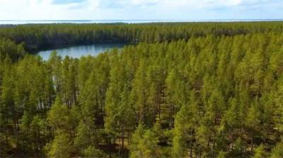 第2002集 坟地惊魂 上[附音频]