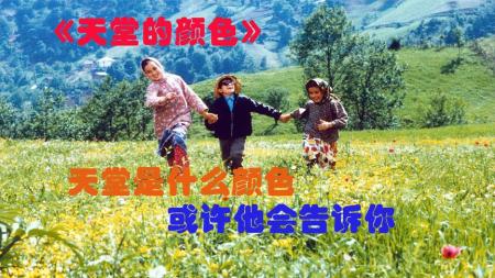 [文]家庭电影《天堂的颜色》解说文案
