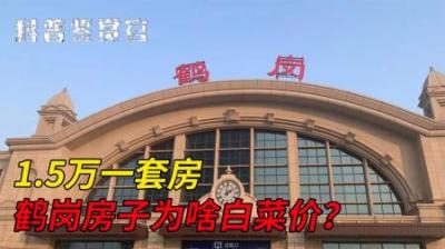 [视]鹤岗的房价为啥这么便宜？1.5w一套，被誉为年轻人的躺平圣地