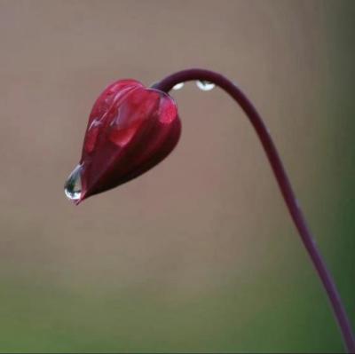 【正能量】积极向上的句子合集（积极向上的优美长句子）