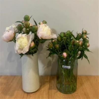 【励志】好好学习舞蹈的励志句子（每日练习舞蹈的励志句子）