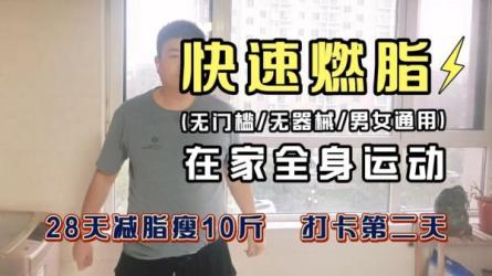 28天极速减脂计划-课程-网盘资源分享