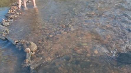 2023网红同款截流玩法[初级+高级-课程-网盘资源分享