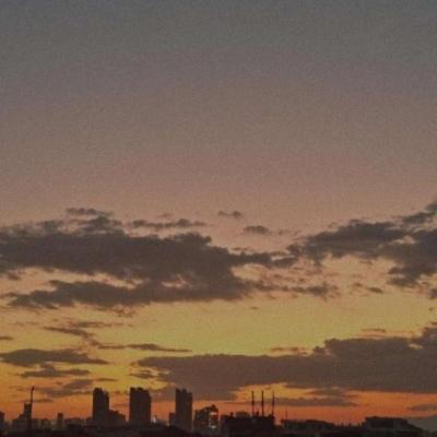 【励志】董卿的靠自己的语录（董卿经典语录靠自己）