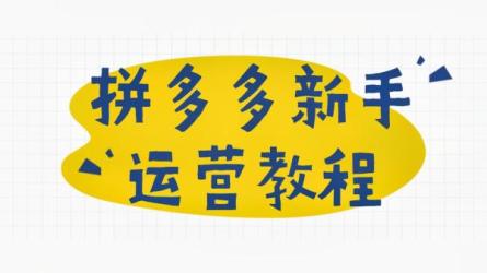 23年下半年拼.多多·运营必学的八节课-课程-网盘资源分享