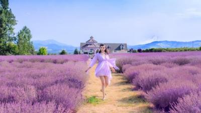 【唯美】生日祝福语大全致自己（生日祝福语送给自己简短独特）