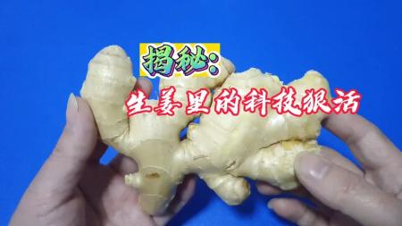 [文]生姜隐藏的秘密究竟有多恐怖？生姜科普解说文案 看世界文案