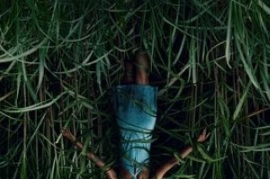 恐怖片《高草丛中》电影解说文案