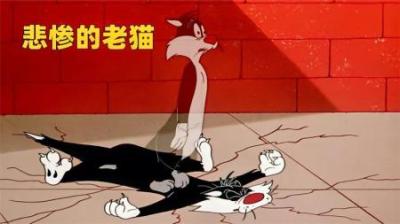 [视]老猫悲惨的一生，九条命都没能保住他，你相信猫有九条命吗？
