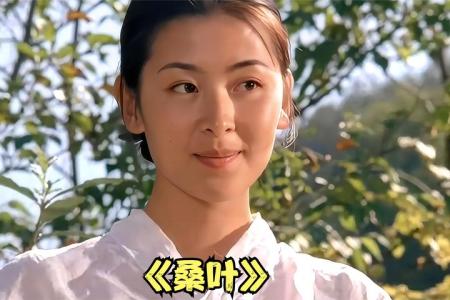 [文]剧情电影《桑叶》解说文案