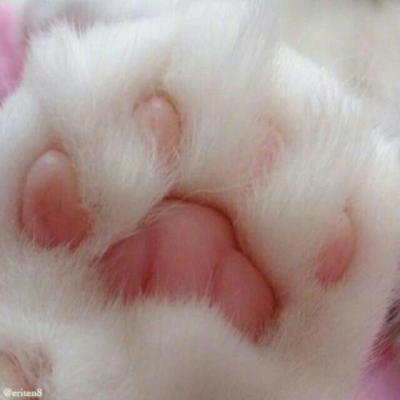 【感悟】肺癌的真实感悟（肺癌的十大忠告）