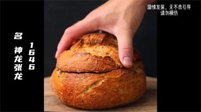 第1646集 它与你同在 2[附音频]