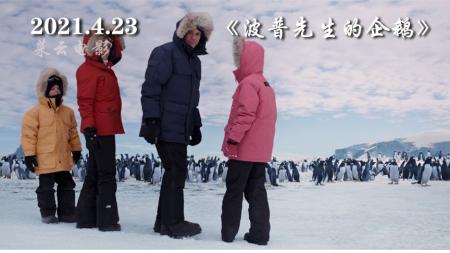 [文]喜剧片《波普先生的企鹅》电影解说文案