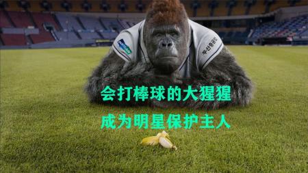 [文]剧情《大明猩》电影解说文案（大猩猩文案）