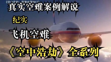 [文]剧情影片《迫降航班》影评 解说素材 观后感