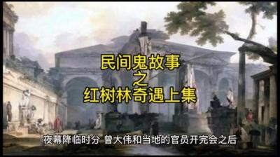红树林奇遇 上[附音频]