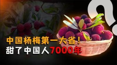 [视]中国杨梅第一大省，甜了中国人7000年，你知道是哪个省份吗？