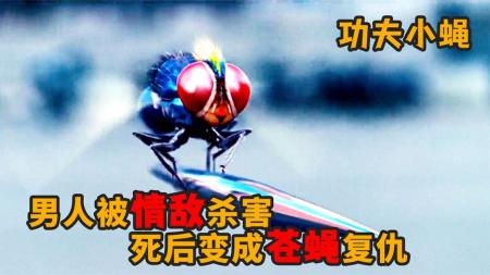 [文]奇幻《功夫小蝇》电影解说文案（功夫小蝇剧情介绍）