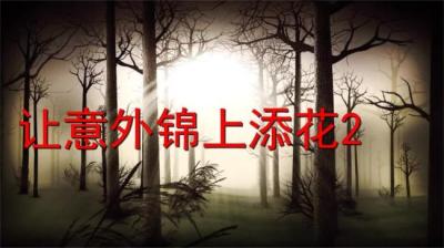 第817集 让意外锦上添花 2[附音频]