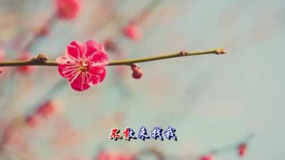 第987集 叫你一声 3[附音频]