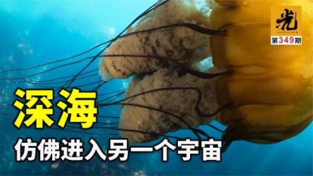 2023版纪录片解说实操课-课程-网盘资源分享