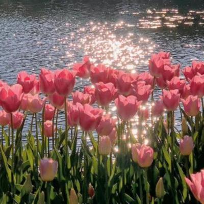 【伤感】十几岁女孩子感情文案短句（女孩情感文案）