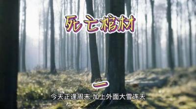 第2049集 死亡棺材[附音频]