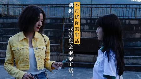 [文]家庭《兔子暴力》电影解说文案（关于兔子暴力的文案）