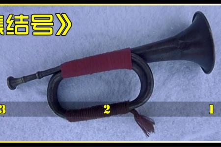 [文]战争电影《集结号》解说文案