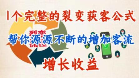 21天获客裂变成交实操营-课程-网盘资源分享