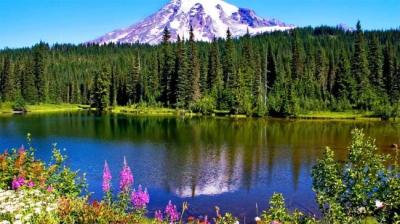 诅咒电梯 上[附音频]