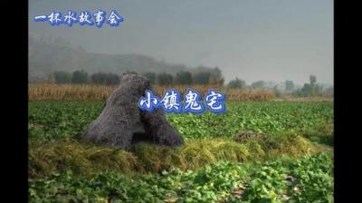 第972集 小镇鬼宅 5[附音频]