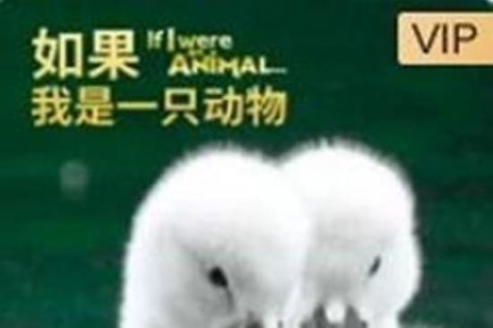 喜剧片《如果我是有钱人》电影解说文案