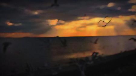 [文]快手抖音生活搞笑剧本《失眠》15秒短视频剧本