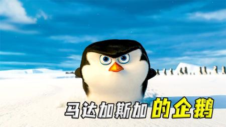 [文]动画电影《马达加斯加2：逃往非洲》解说文案