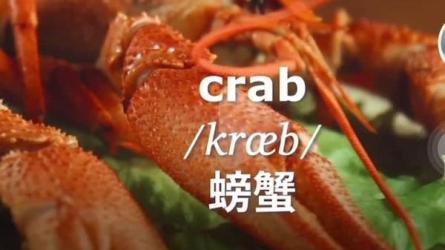 **0基础入门启蒙特训营-课程-网盘资源分享