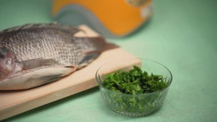 准备Ceviche的原料鱼 Fish:在一张铺着绿松石桌布的桌子上,配上鱼、辣椒、柠檬、洋葱和香料。