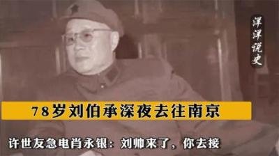 [视]78岁刘伯承深夜去往南京，许世友急电肖永银：刘帅来了，你去接