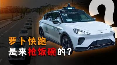[视]萝卜快跑，是来抢饭碗的答案没那么简单！