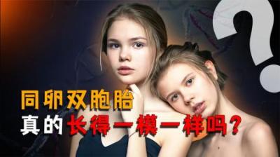 [视]同卵双胞胎真的一模一样吗？答案可能颠覆你的认知！