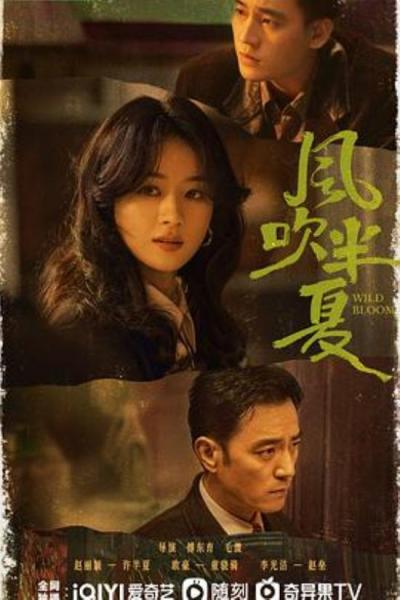 《风吹半夏》风吹半夏剧评：时代的一束光，打在人生的海平面上——记飞天奖优秀电视剧