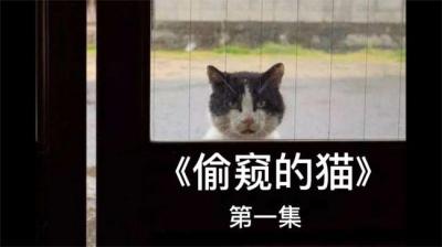 第1526集 偷窥的猫 5[附音频]