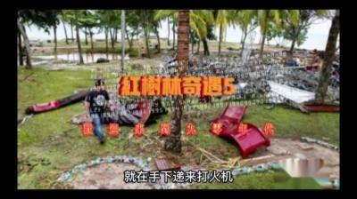 红树林奇遇 下[附音频]