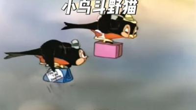 [视]母鸟生产在即，公鸟只能带他寻找暂时的庇护所