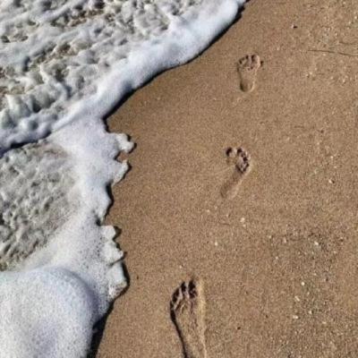 【唯美】关于风信子优美句子（描写白色风信子的优美句子）