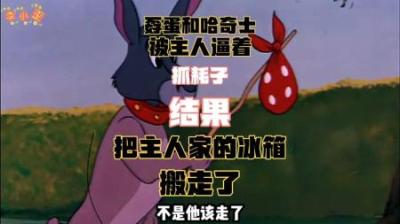 [视]这是唯一一集汤姆猫全程不被欺负的一集，小金豆全程翻车。