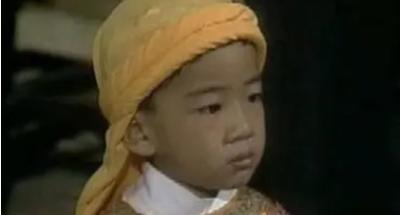 石达开的儿子：继承与变革的历史见证