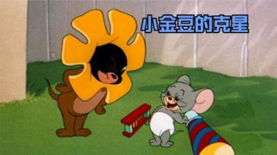 [视]有小灰豆的地方就没小金豆的好果子。
