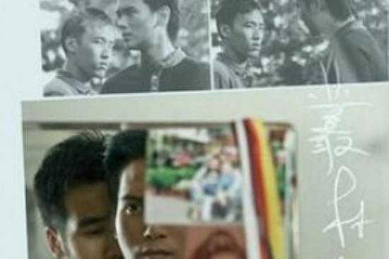 冒险电影《丛林》解说文案/解说素材